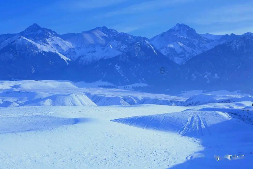 浙江交通集团2024年春运启动仪式在绍兴服务区举行
